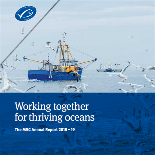 MSC Annual Report 2018-19 MSC Annual Report 2018-19