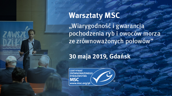 msc-grafika-warsztaty-560x315-maj-2019