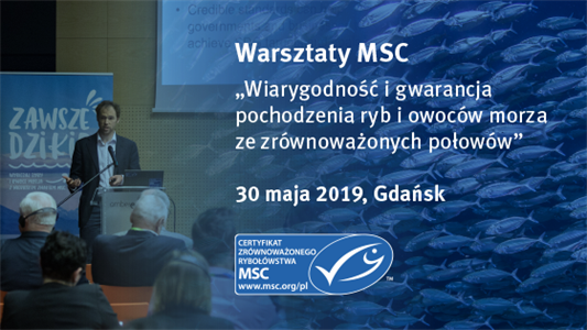 msc-grafika-warsztaty-560x315-maj-2019