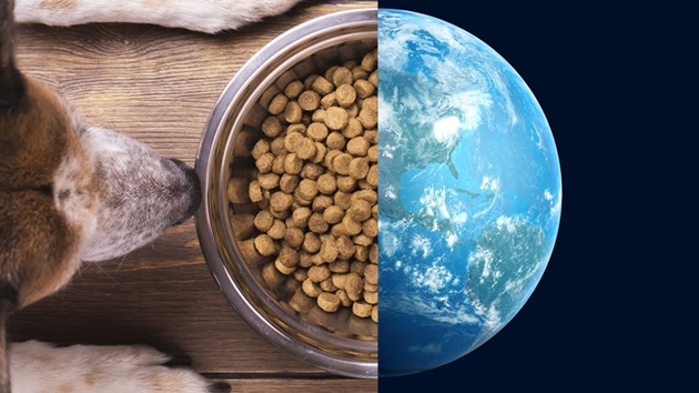 Światowy Dzień Zwierząt 2020