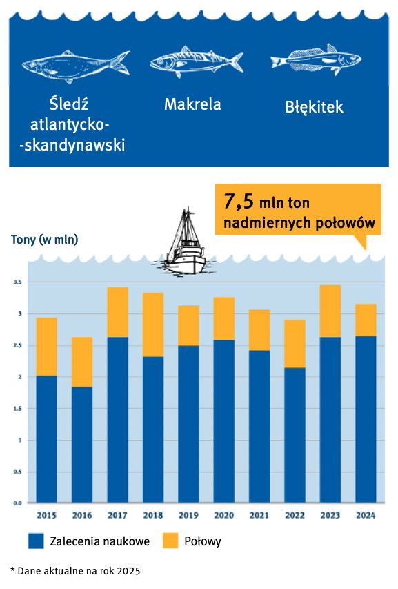 Całkowite połowy ryb pelagicznych na Płn.-Wsch. Atlantyku w latach 2015-2024