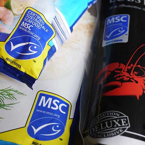 O que significa o selo azul do MSC?