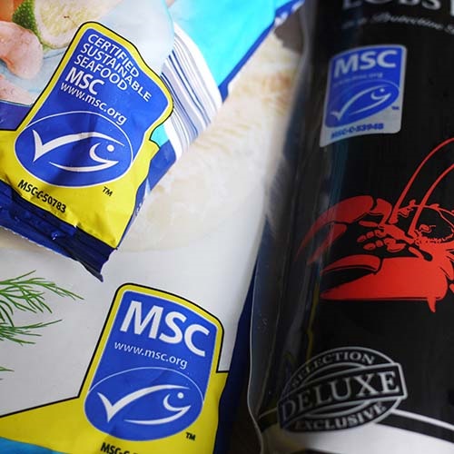 Wybieraj ryby i owoce morza ze znakiem MSC!
