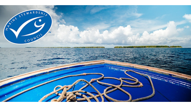 MSC Fisheries Standard Version 3: A revised approach