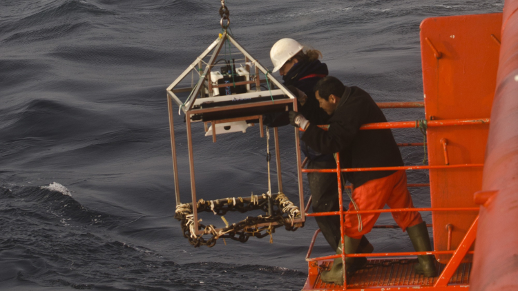 rs7349_camera-drop-landscape-750x422