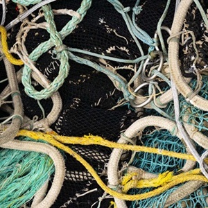 Zmiany w procedurze wniesienia sprzeciwu w procesie oceny rybołówstwa