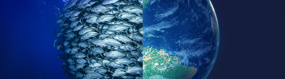Grafika Seafood Futures Forum - ławica ryb i planeta