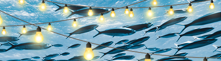 RS16762_WOD22 Teams BG3