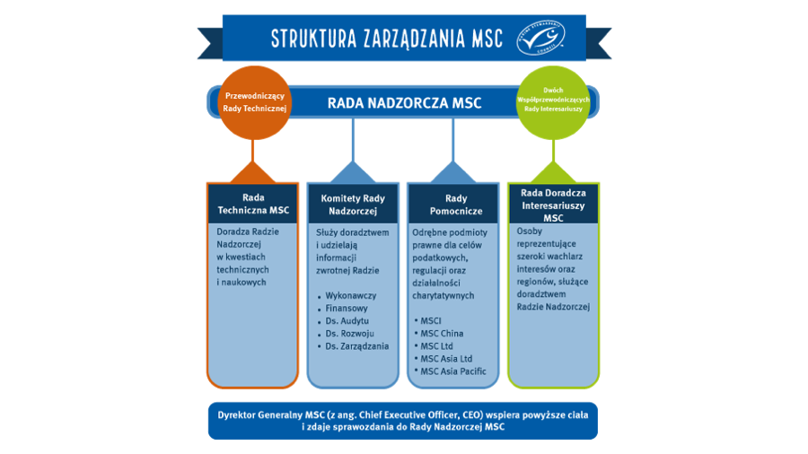Struktura MSC