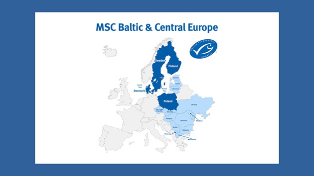 Zespoły MSC z Polski, Szwecji, Danii i Finlandii łączą siły
