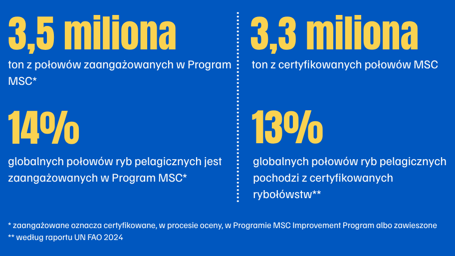 Małe ryby pelagiczne w Programie MSC - liczby
