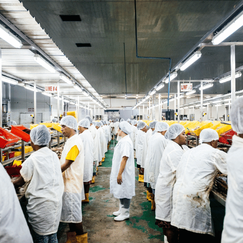 Praca przymusowa i praca dzieci