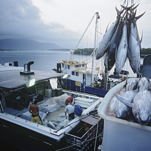 Najlepsza firma dostawcza