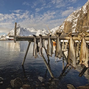 Rodzaje finansowania