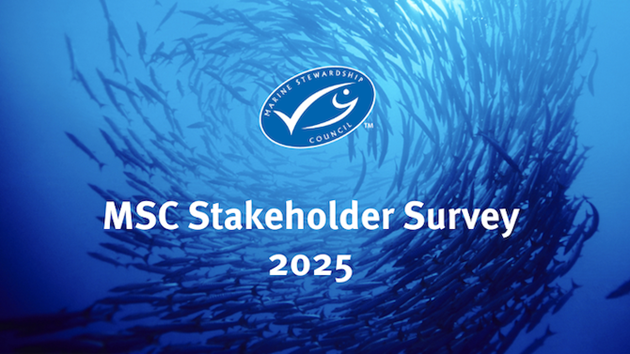 Podziel się swoją opinią o Programie MSC!