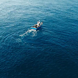 Ten Tips to Protect the Ocean (No Matter Where You Live)