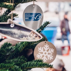 Świąteczny Śledzik ze znakiem MSC 2015 - podsumowanie kampanii