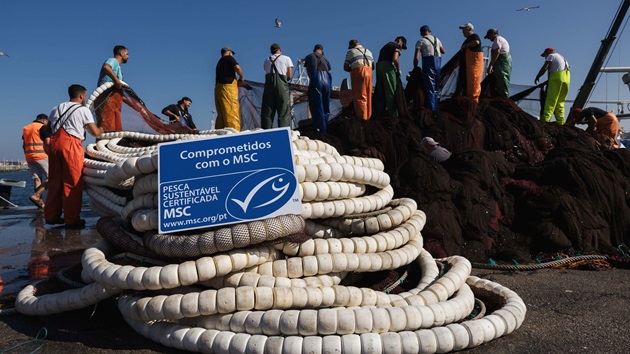 Comunicado de Imprensa