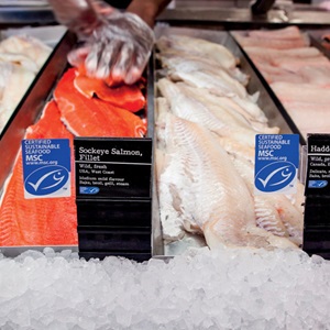 Seafood is Vital For a Healthy Food System