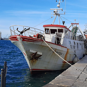 Progetto BluFish nel Mar Adriatico meridionale: a che punto siamo?