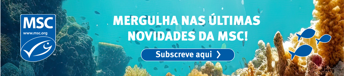 Firma PT Newsletter Subscribe