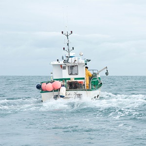 Cos'è la pesca sostenibile