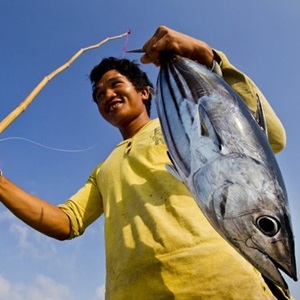 Indonesische tonijnvisserij gecertificeerd