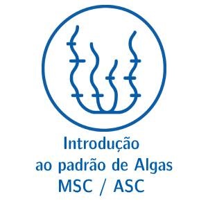 18 de Novembro de 2020