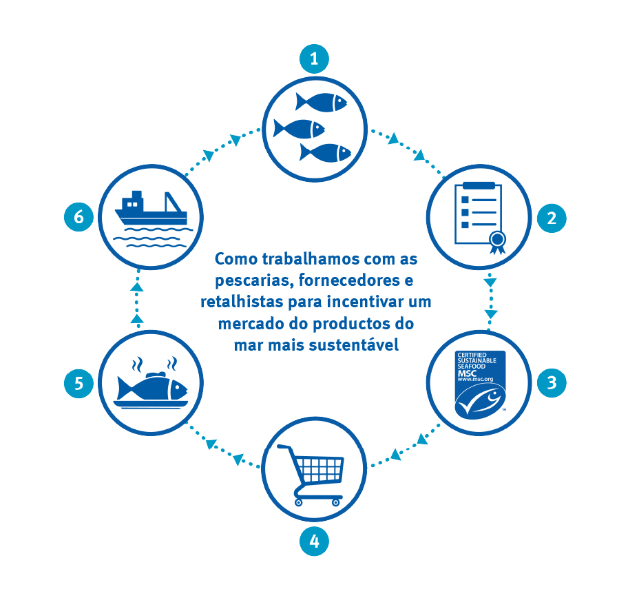 Portuguese theory of change