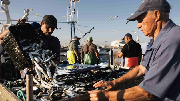 MSC Fishery Factsheet
