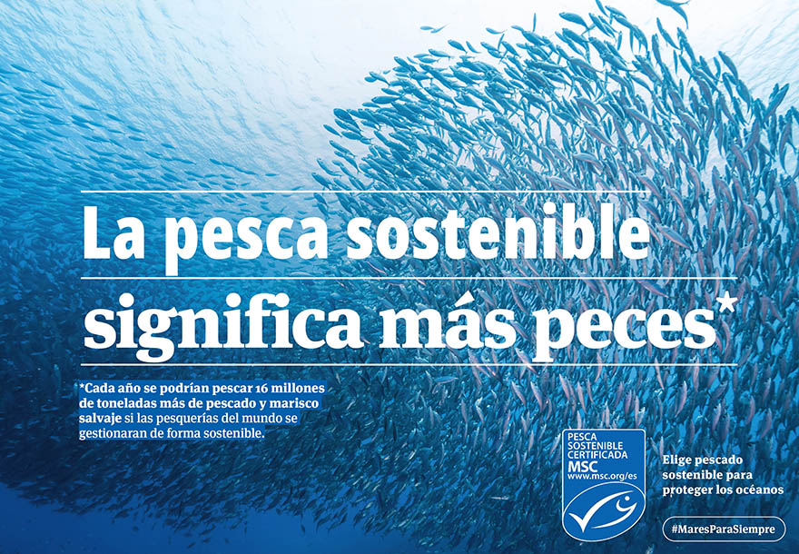 tematica campana correcta