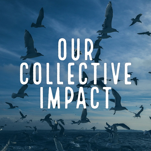 Our Collective Impact