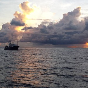 Los retos de la pesca sostenible en la industria del atún