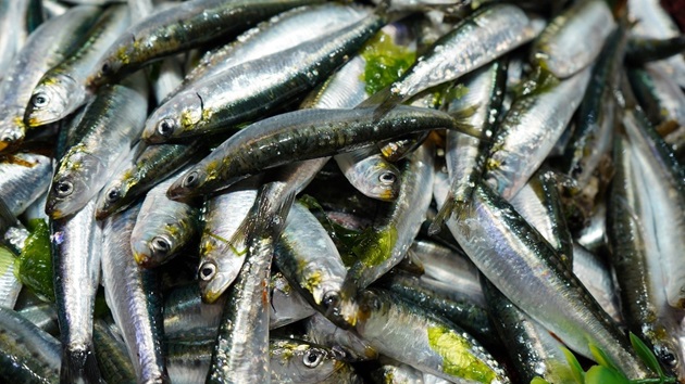 Comunicado de Imprensa