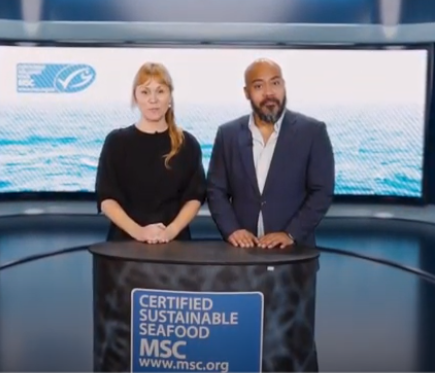 Studio MSC