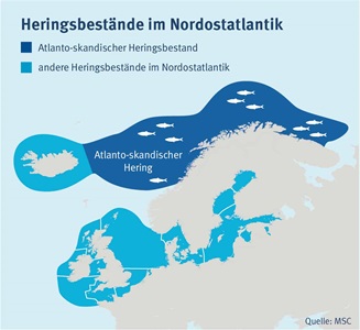 Verbreitung Hering Nordostatlantik Verbreitung Hering Nordostatlantik