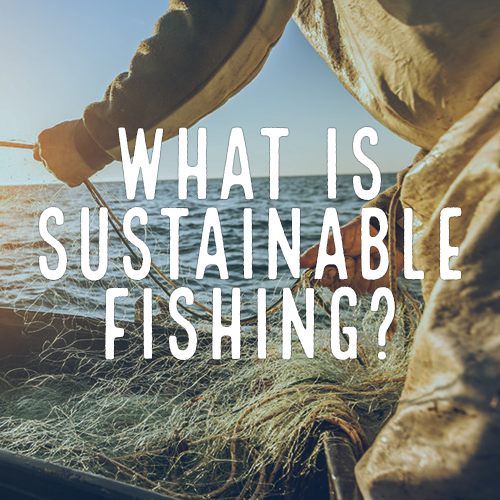 What is sustainable fishing?