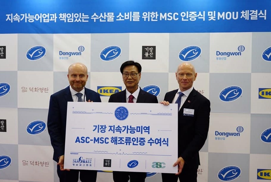기장미역 기장미역