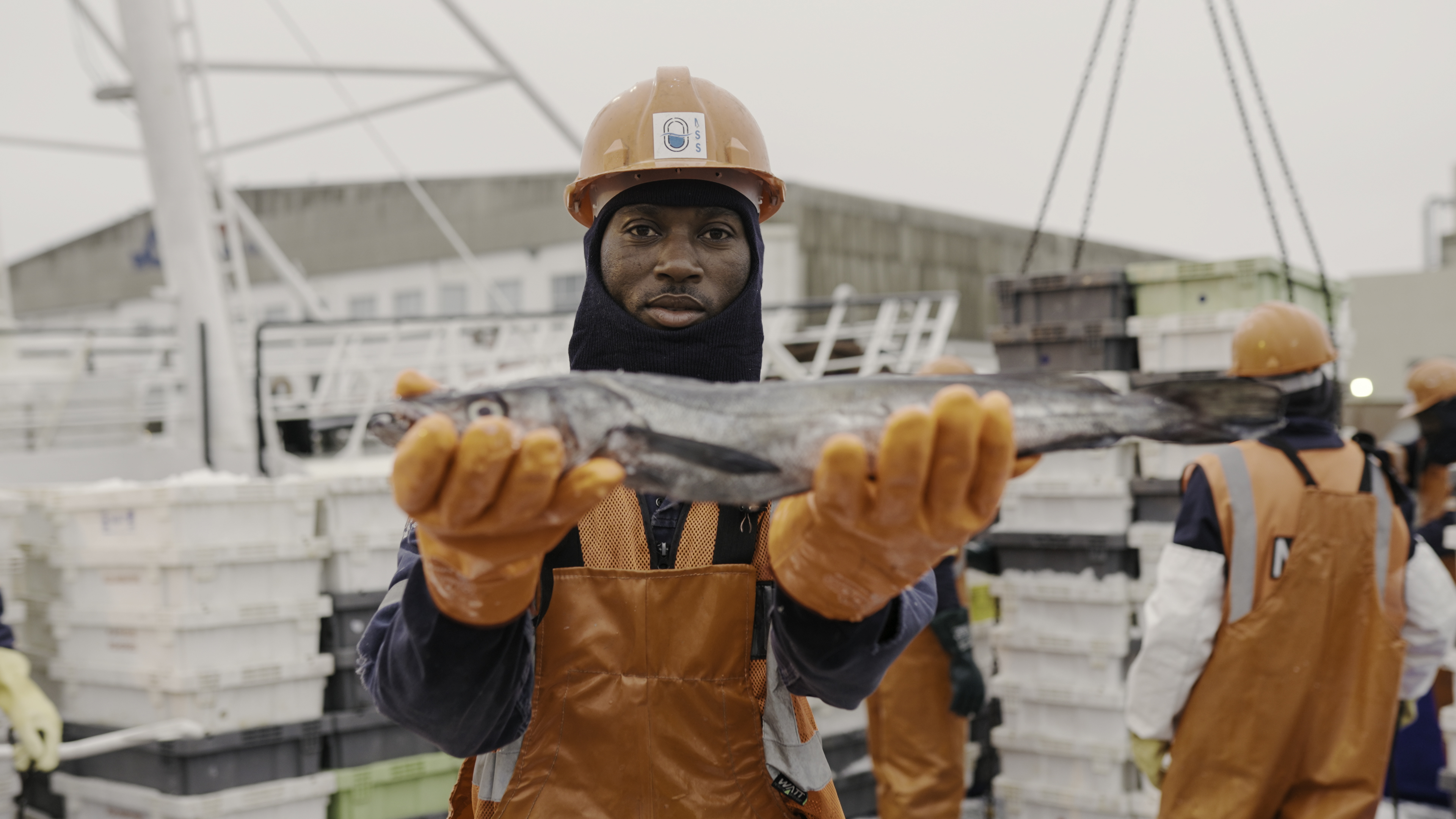 Morszczuk z Namibii z certyfikatem MSC