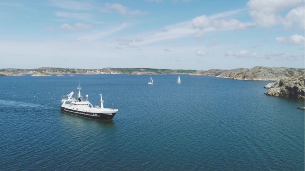 Sillens resa från hav till fat