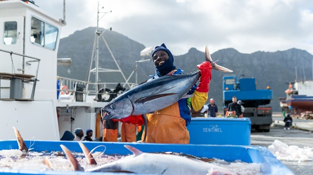 MSC Annual Report 2024 -2025