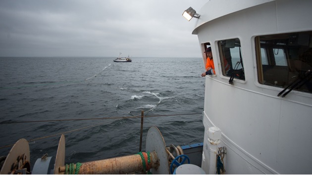 EU och internationell fiskeriförvaltning