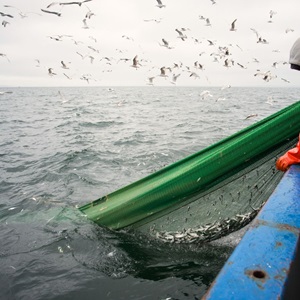 Fiskemetoder i Östersjön
