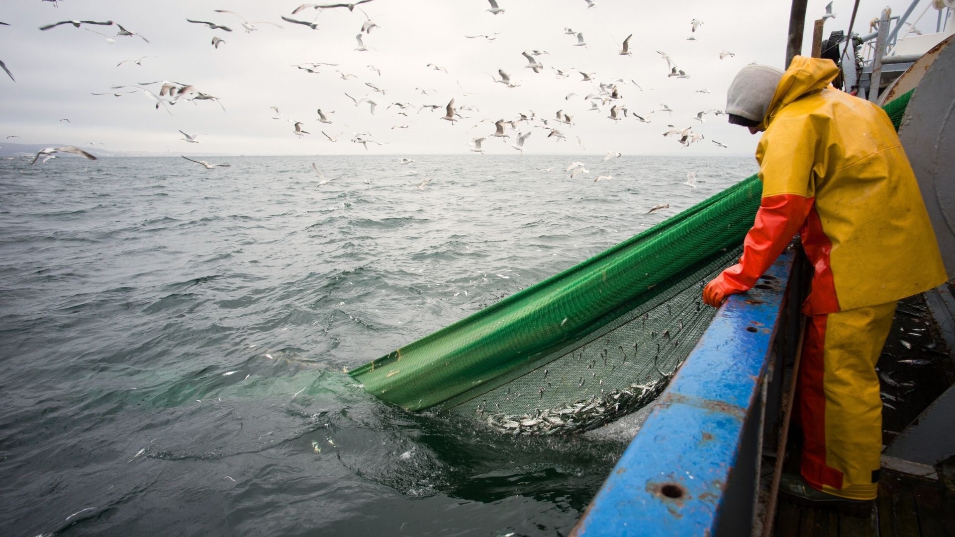 german Fishery baltic sea