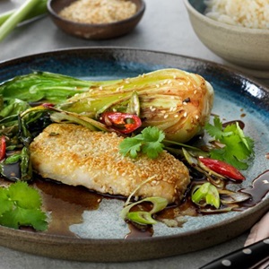 Sesamstekt torskfilé med packchoi och ingefära-vitlöksås