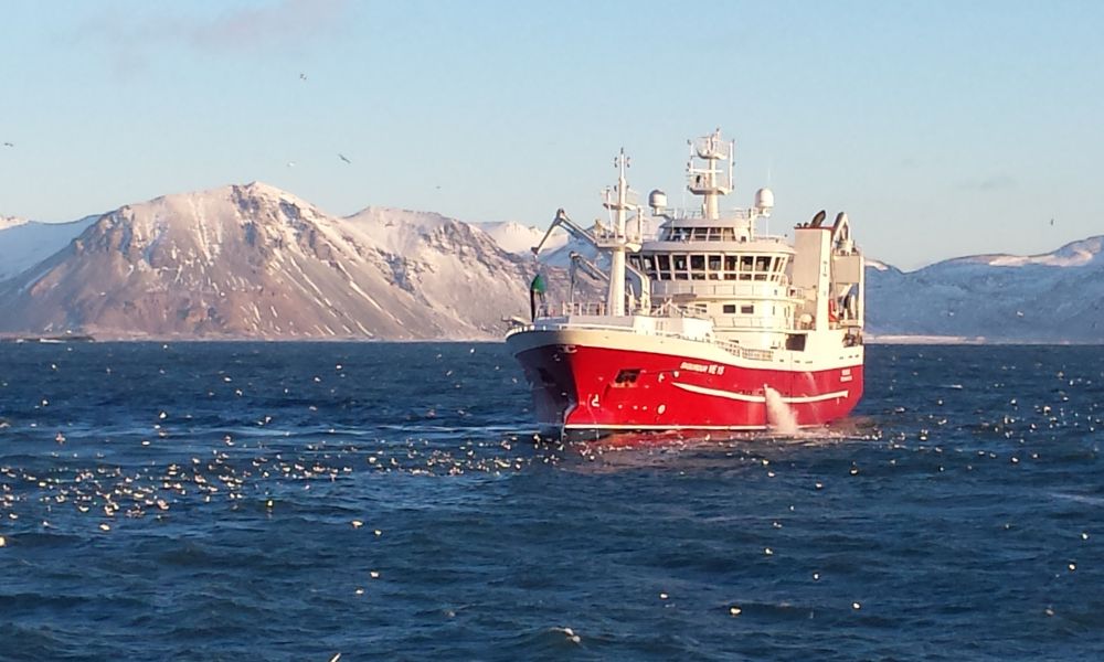 Islands sillfiske Islands MSC-certifierade sillfiske