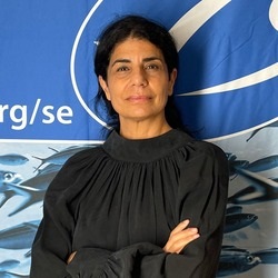 Kim Rydeheim