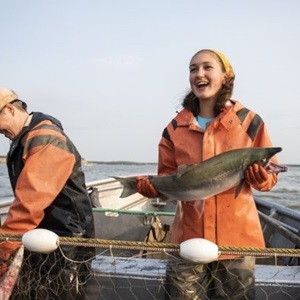 Three things that make MSC certified salmon good for the ocean