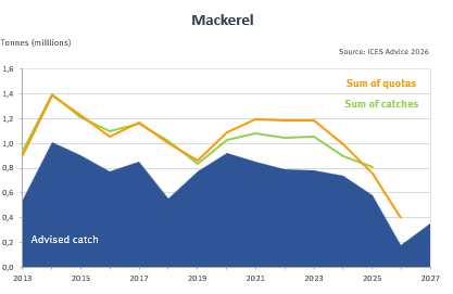 Mackerel Mackerel oct 2026 ices advice