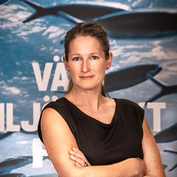 Tina Elvroth